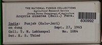 Image Associated With the Occurence